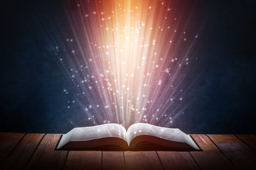 国产斯泰拉纺车轮和阿布哪个好