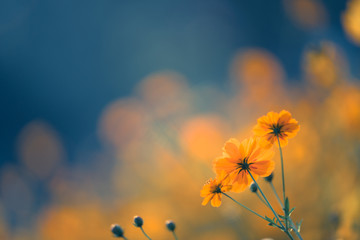 高速超重多少算超载