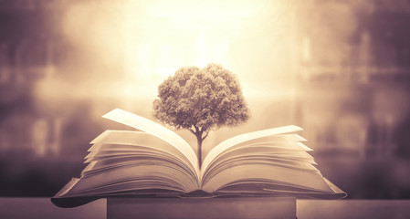 青岛属于南方还是北方？