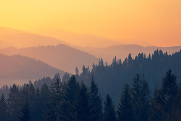 一个小土坡的标志