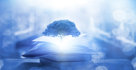 早安心语：发朋友圈的清晨短句