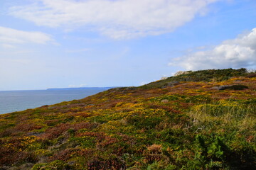 高速超重多少算超载