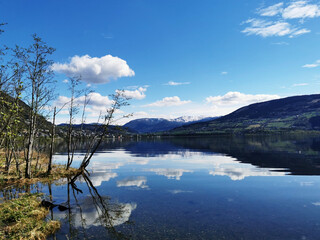 车辆温度传感器坏了有什么特征？