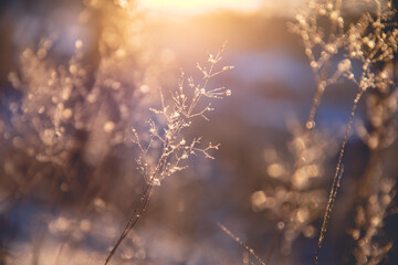 今年高新大吉村拆迁不