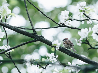 汽车显示abs和刹车灯一直亮是什么原因
