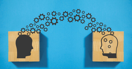 语文高一上册《再别康桥》知识点