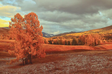 一个小土坡的标志