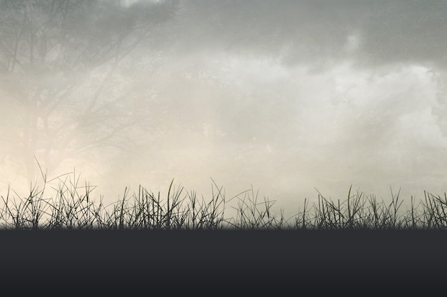 语文高一上册《再别康桥》知识点