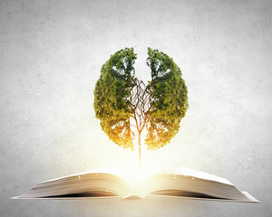 数学大迷思的手抄报 数学手抄报