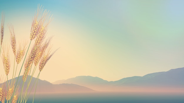 车辆温度传感器坏了有什么特征？