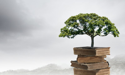 青岛属于南方还是北方？