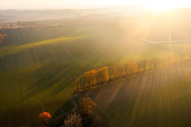 送女客户什么礼物