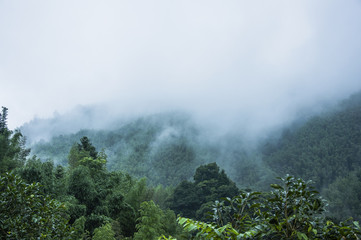 青岛属于南方还是北方？